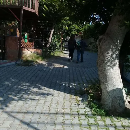 Lägenhet Mavi Koltuklu Tatil Evi
